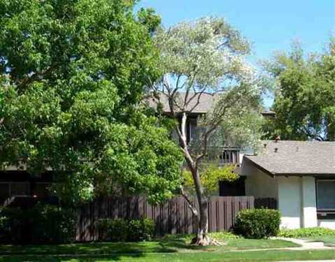 379 Serramonte Ter, Fremont, CA 94536 photo 1