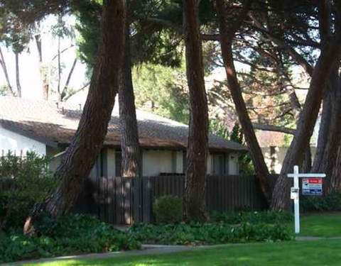 286 Hirsch Ter, Fremont, CA 94536 photo 1
