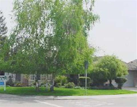 990 Creekside Pl, Manteca, CA 95336 photo 1