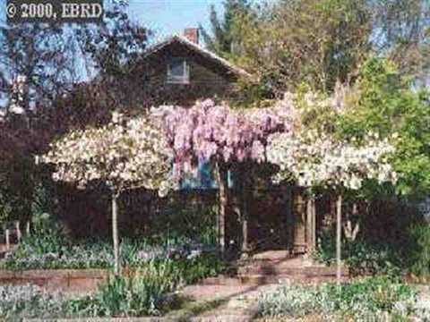 2408 Mcgee Ave, Berkeley, CA 94703 photo 1