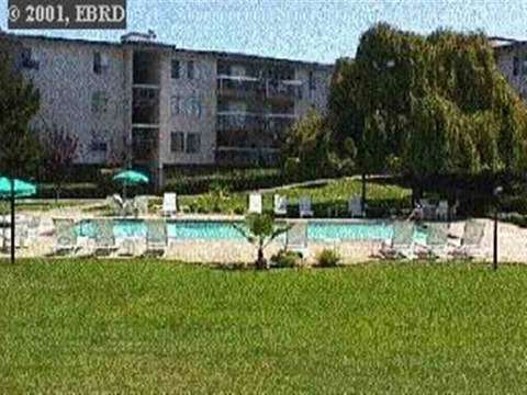 950 Shorepoint Ct #102, Alameda, CA 94501 photo 1