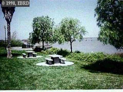 209 Heron Dr, Pittsburg, CA 94565 photo 1