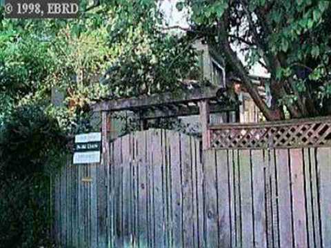 1704 Oregon St, Berkeley, CA 94703 photo 1
