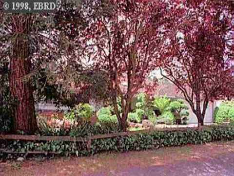 18345 Lamson Rd, Castro Valley, CA 94546 photo 1