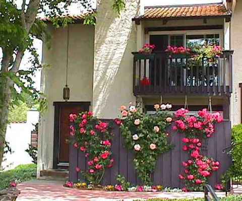 1420 Camino Peral, Moraga, CA 94556 photo 1
