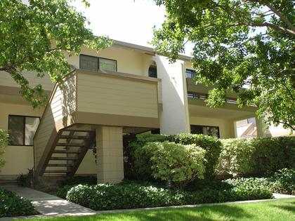39167 Walnut Ter, Fremont, CA 94536 photo 1
