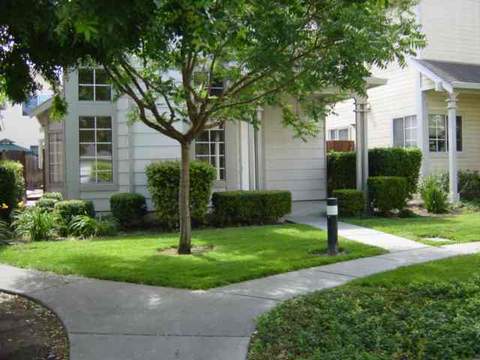 39753 Potrero Dr, Newark, CA 94560 photo 1