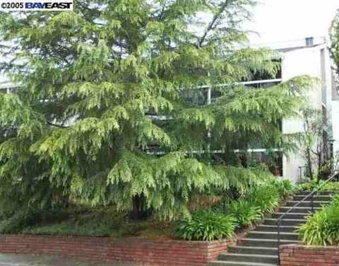 1971 Ascot Dr #A, Moraga, CA 94556 photo 1