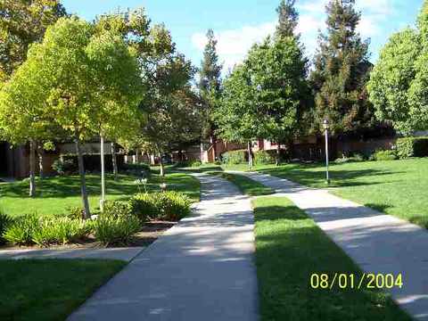 262 Hackamore Cm, Fremont, CA 94539 photo 1