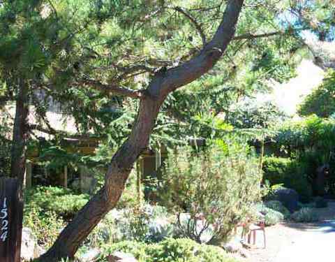 1524 Springbrook Rd, Walnut Creek, CA 94597 photo 1