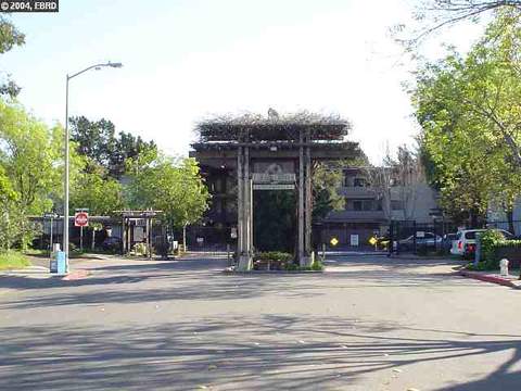 1321 Webster St #D202, Alameda, CA 94501 photo 1