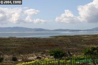 2624 Bayview Dr, Alameda, CA 94501 photo 1