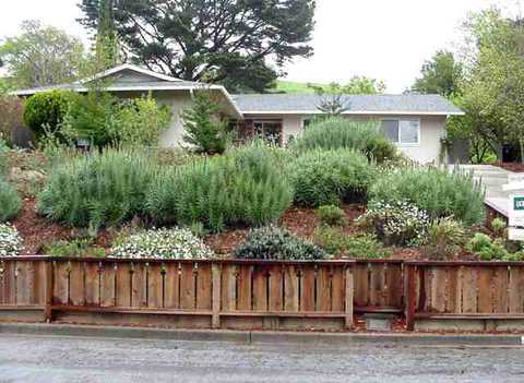 606 Michael Ln, Lafayette, CA 94549 photo 1