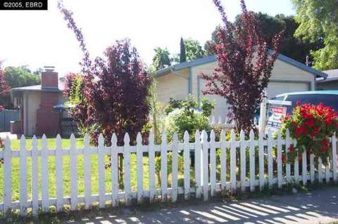 243 Andrew Ave, Pittsburg, CA 94565 photo 1