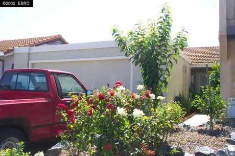 3033 Pear St, Antioch, CA 94509 photo 1