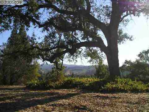 49 Beech Ct, Walnut Creek, CA 94596 photo 1