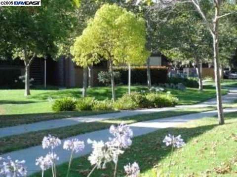 302 Hackamore Ln, Fremont, CA 94539 photo 1