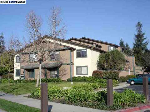 266 Hackamore Ln, Fremont, CA 94539 photo 1