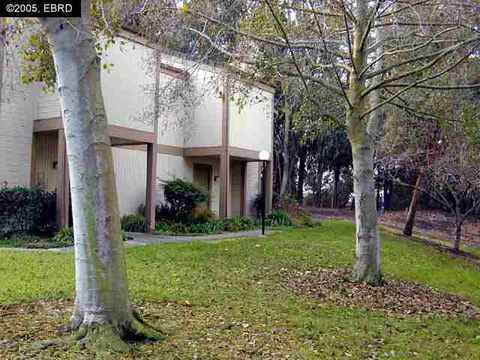 216 Apollo #5, Hercules, CA 94547 photo 1