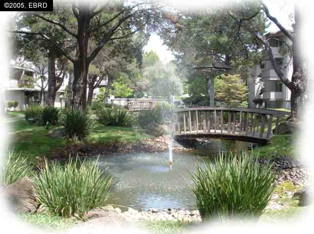 1305 Webster St #c209, Alameda, CA 94501 photo 1