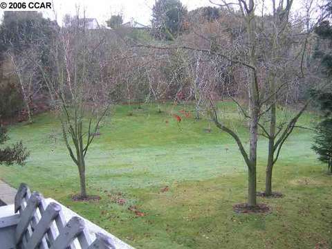 604 Windsor, Hercules, CA 94547 photo 1