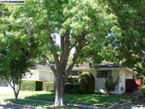 1040 Bermuda Dr, Concord, CA 94518 photo 1
