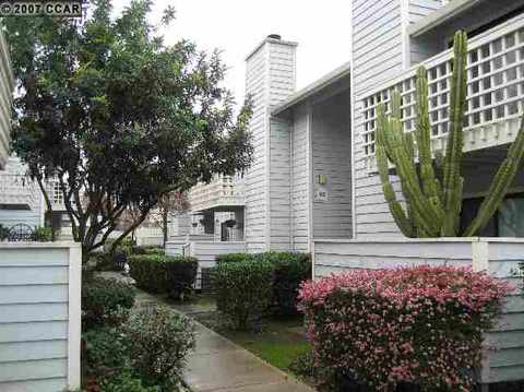 92 Elder Dr #D, Pacheco, CA 94553 photo 1