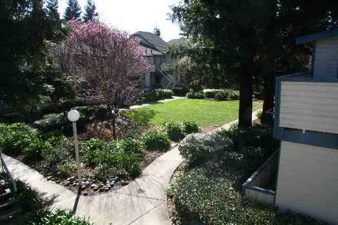 268 Sequim Cmn, Fremont, CA 94539 photo 1