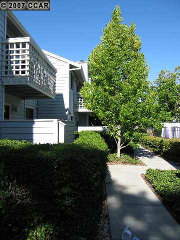 94 Elder Dr #E, Pacheco, CA 94553 photo 1