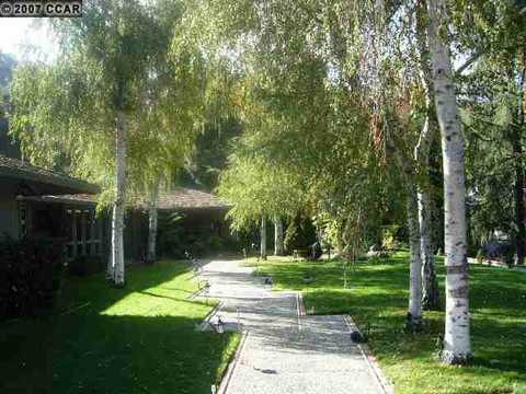 121 High Eagle Rd, Alamo, CA 94507 photo 1