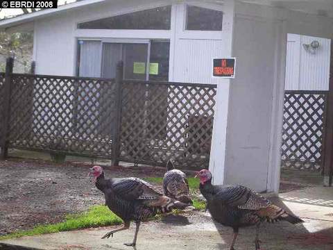 4736 Blum Rd #a, Martinez, CA 94553 photo 1