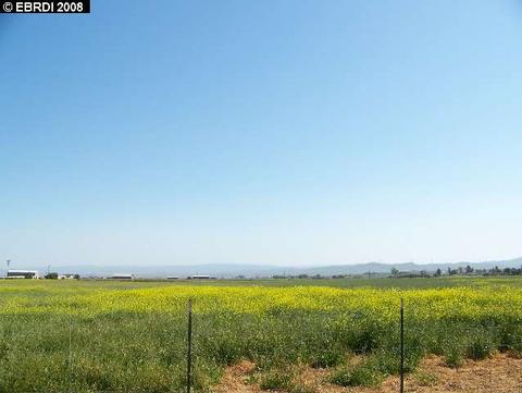 4300 Kellogg Creek Rd, Byron, CA 94514 photo 1