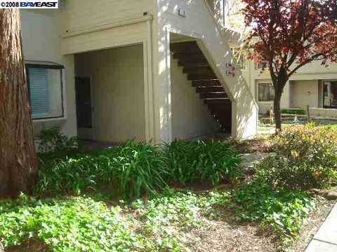 39909 Parada St #A, Newark, CA 94560 photo 1