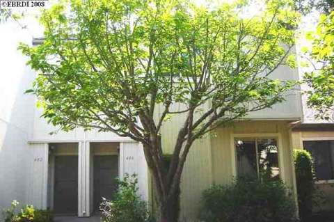 486 Rheem Blvd, Moraga, CA 94556 photo 1