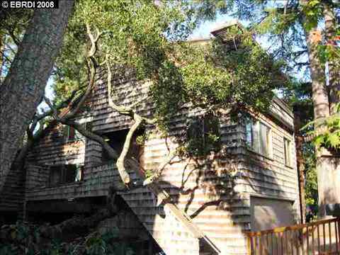 2051 Berryman St #4, Berkeley, CA 94709 photo 1