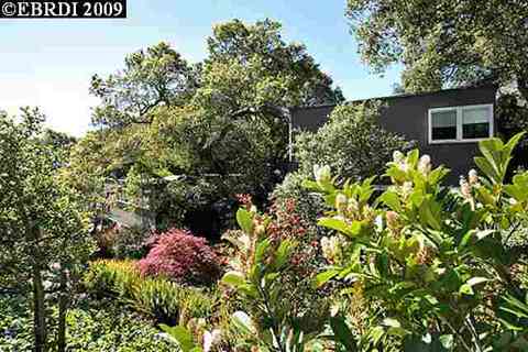 330 Hampton Rd, Piedmont, CA 94611 photo 1