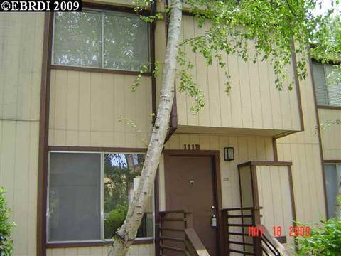 111 Ascot Ct #B, Moraga, CA 94556 photo 1
