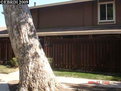 2073 Olivera Rd #D, Concord, CA 94520 photo 1