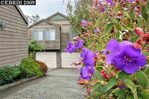 99 Monte Cresta Ave #B, Oakland, CA 94611 photo 1
