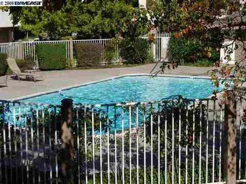 39275 Walnut Ter, Fremont, CA 94536 photo 1