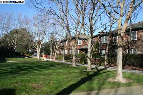 555 Centre Ct, Alameda, CA 94502 photo 1