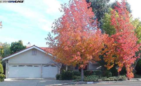 11975 W Vomac Rd, Dublin, CA 94568 photo 1