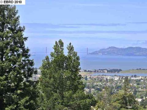 1440 Le Roy Ave, Berkeley, CA 94708 photo 1