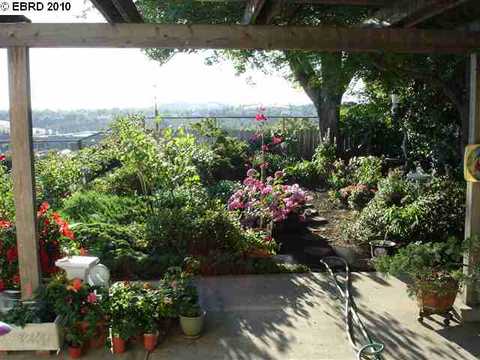3331 Bluejay Dr, Antioch, CA 94509 photo 1
