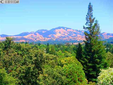 976 Stow Ln, Lafayette, CA 94549 photo 1