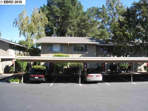 7321 Starward Dr #31, Dublin, CA 94568 photo 1
