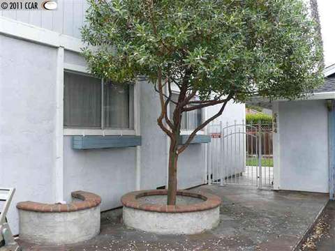 5464 Anselmo Ct, Concord, CA 94521 photo 1