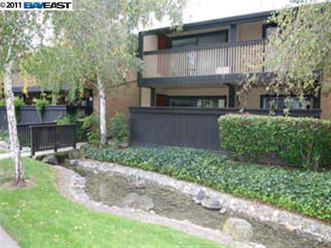 49 Showers Dr #E146, Mountain View, CA 94040 photo 1
