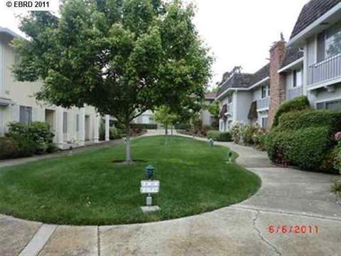 14 Miramonte Dr, Moraga, CA 94556 photo 1