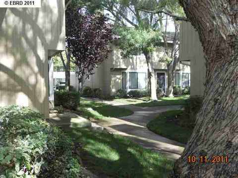36837 Newark Blvd #B, Newark, CA 94560 photo 1